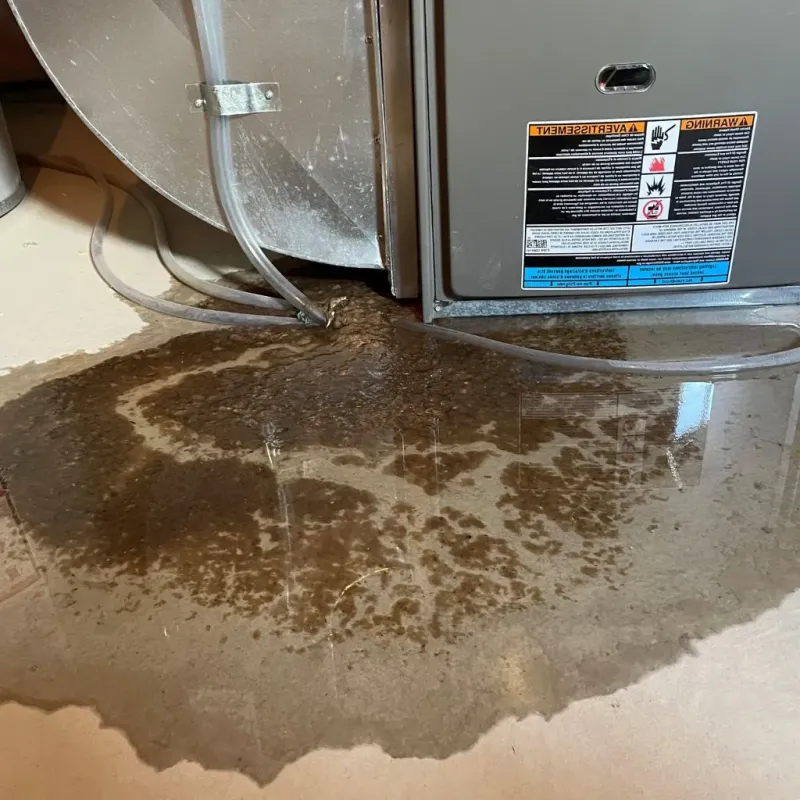 Pipe Burst and Leak Restoration in Crosby, MN