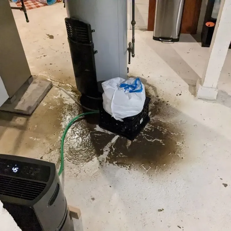 Sewage Backup Cleanup Service in Crosby, MN